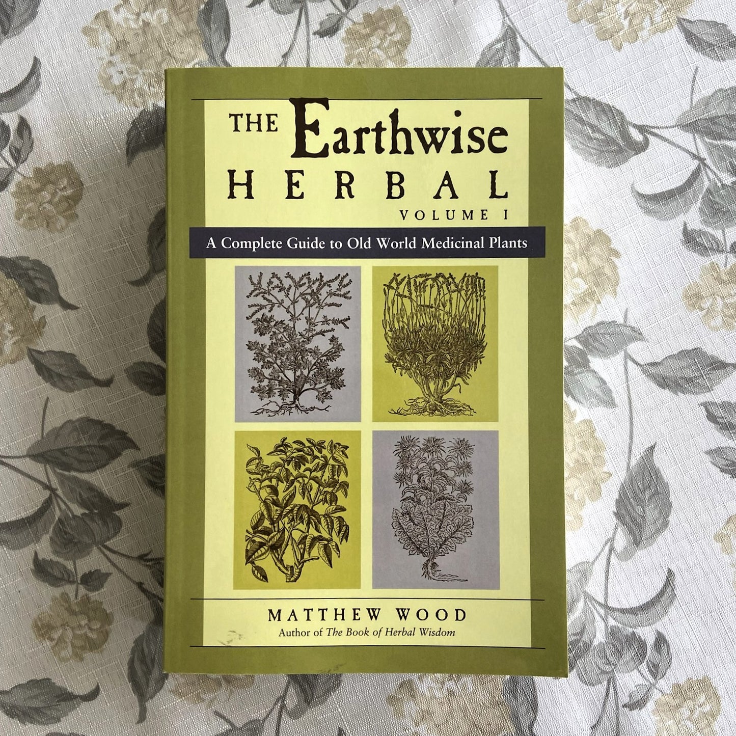 The Earthwise Herbal - Volume 1