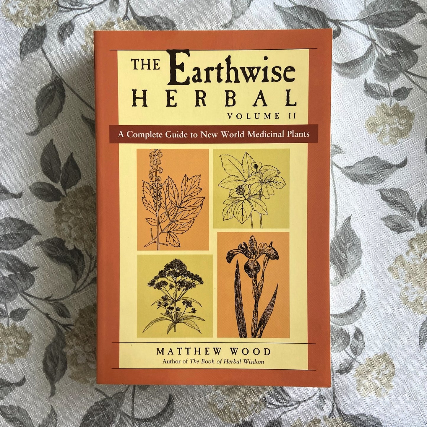 The Earthwise Herbal - Volume 2