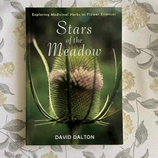 Stars of the Meadow