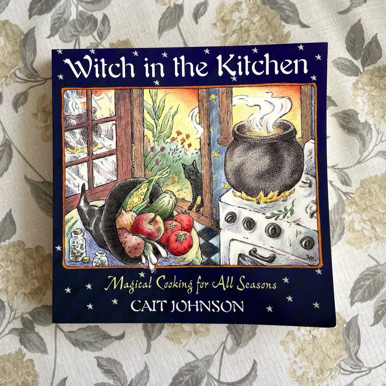 Witch in the Kitchen