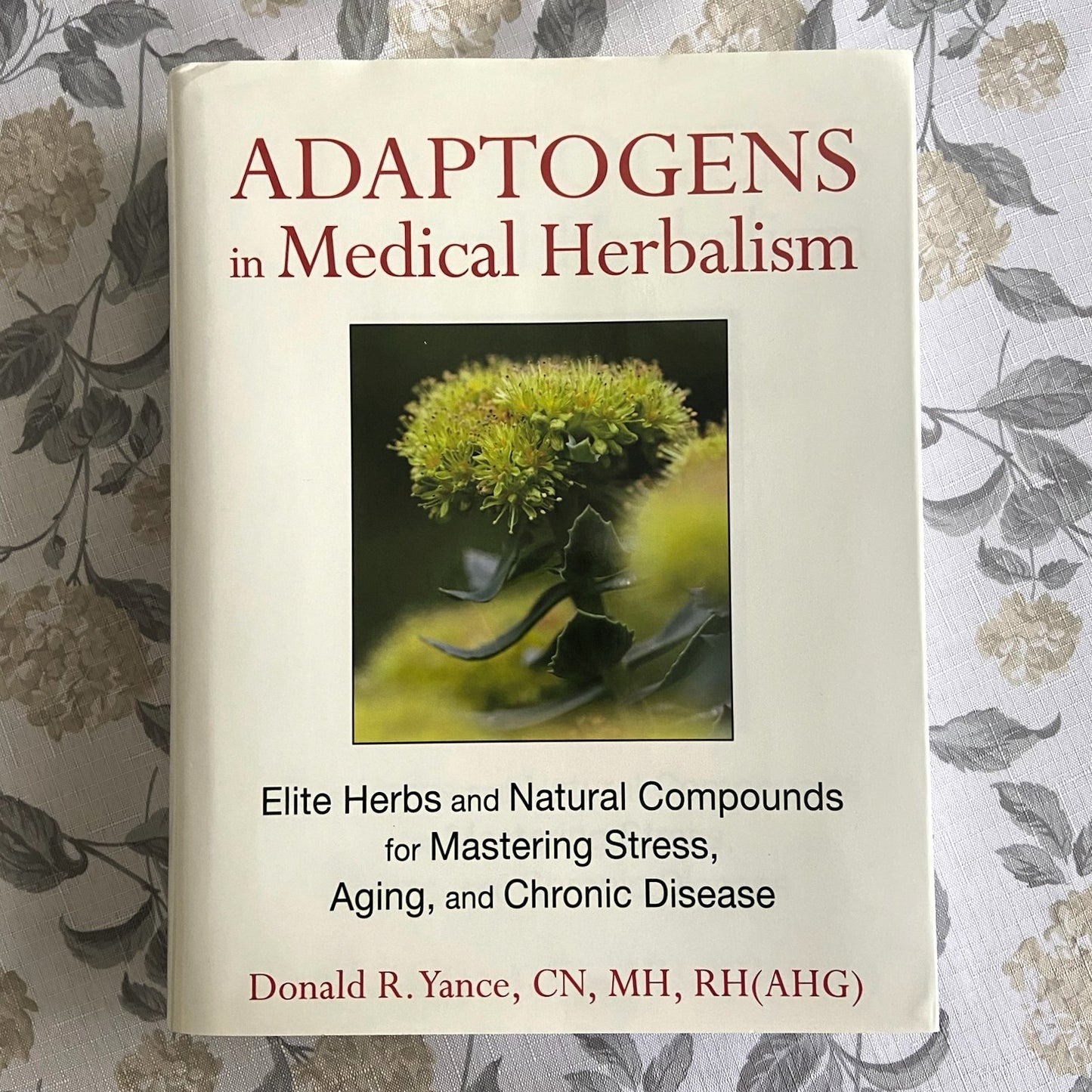 Adaptogens in Medical Herbalism