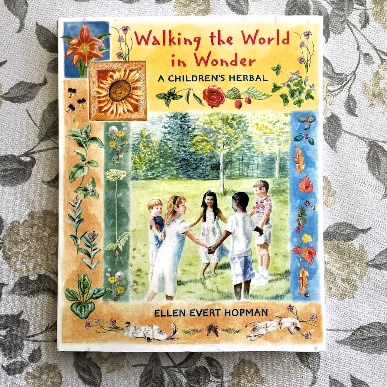 Walking the World in Wonder