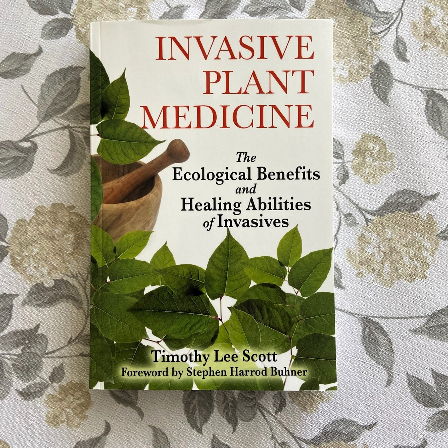 Invasive Plant Medicine
