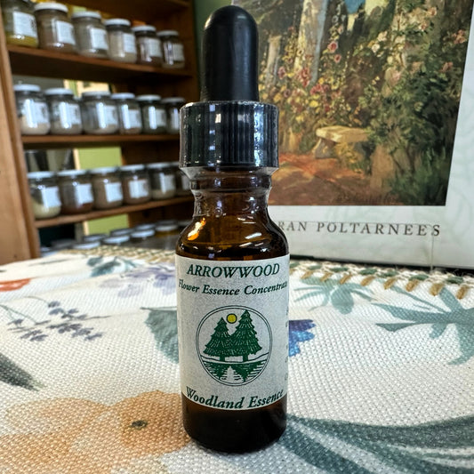 Arrowwood Essence