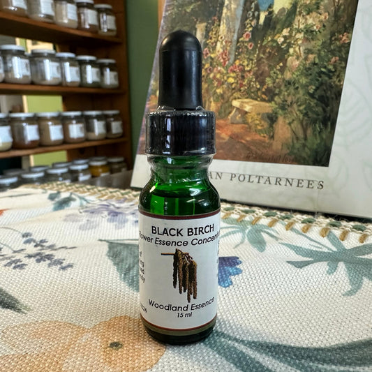 Black Birch Essence