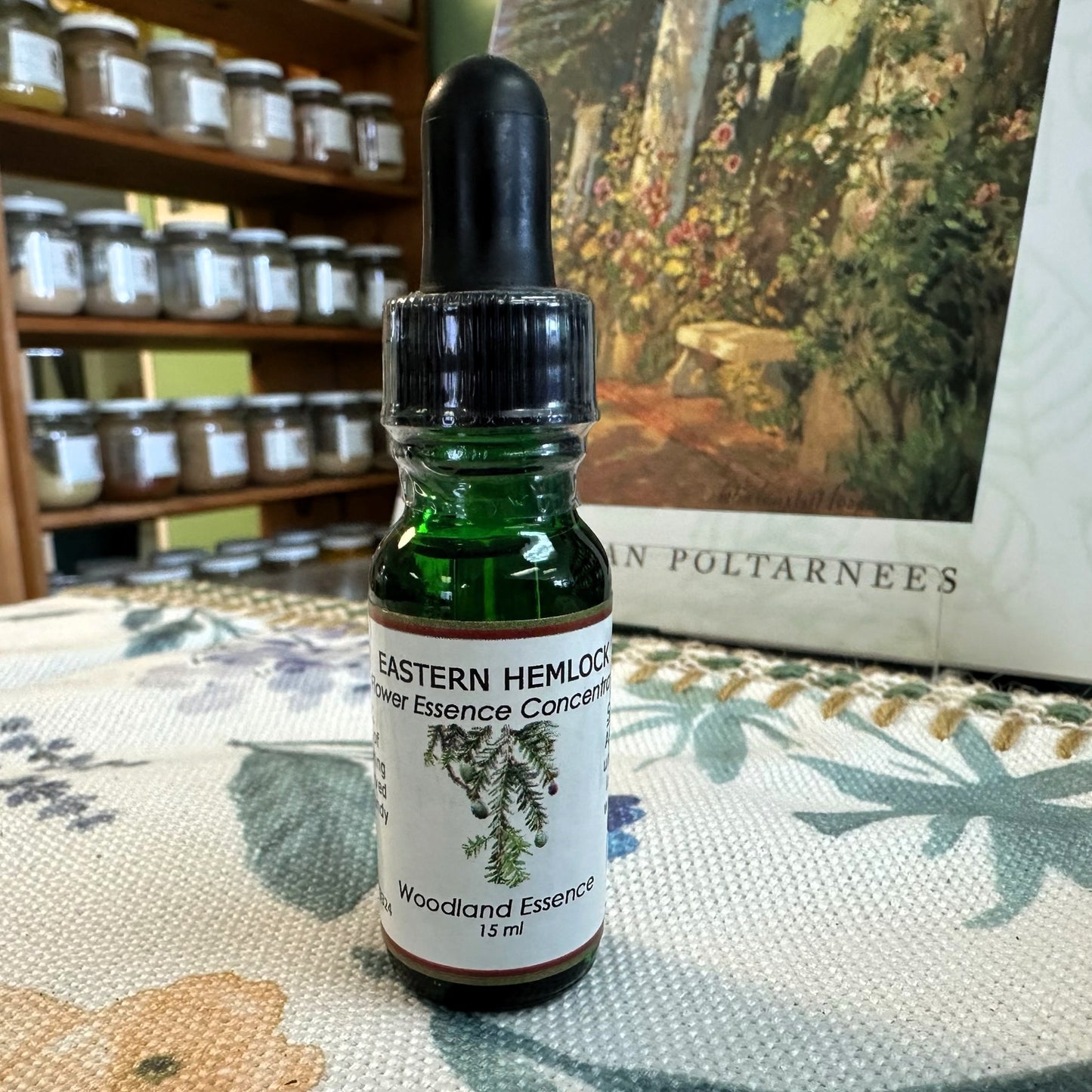 Hemlock, Eastern Essence