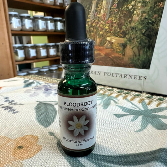 Bloodroot Essence