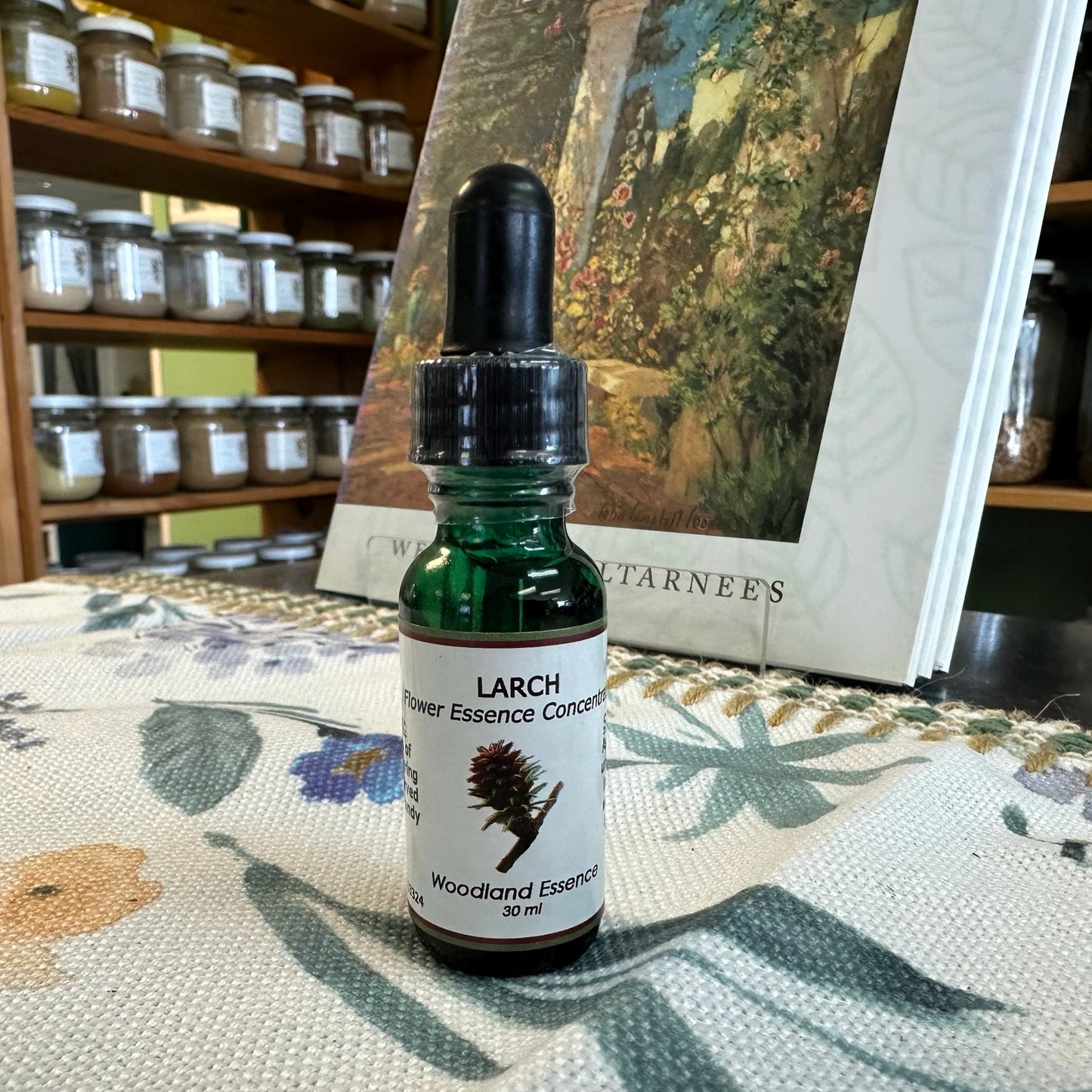 Larch Essence