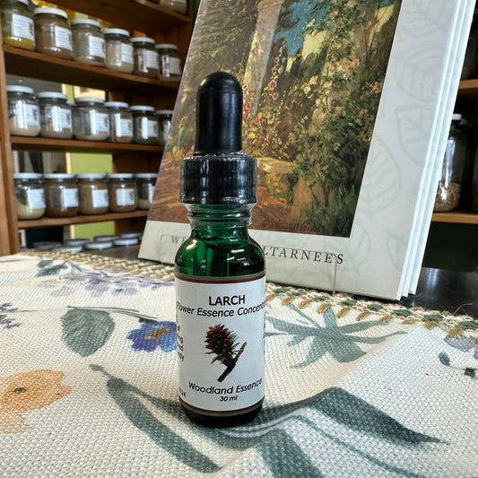 Larch Essence