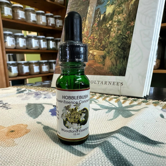 Hobblebush Essence