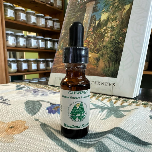 Gaywings Essence