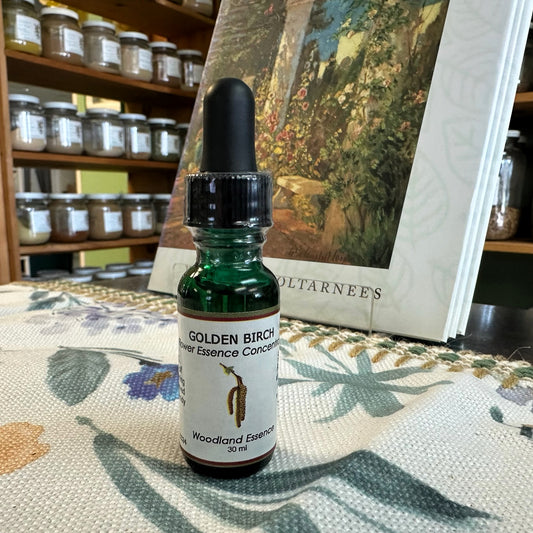 Golden Birch Essence
