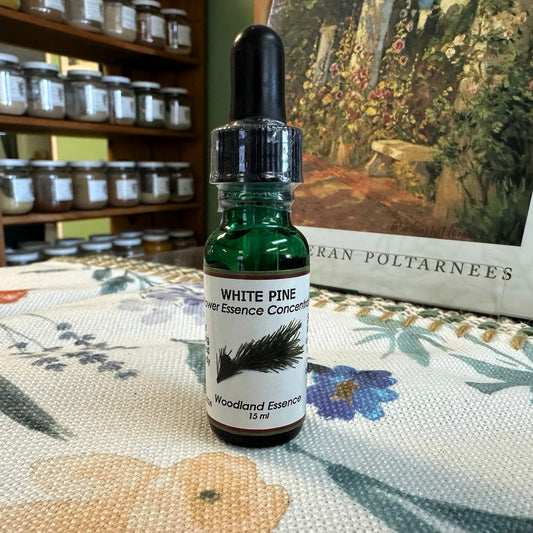 White Pine Essence