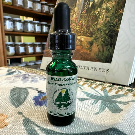 Wild Azalea Essence