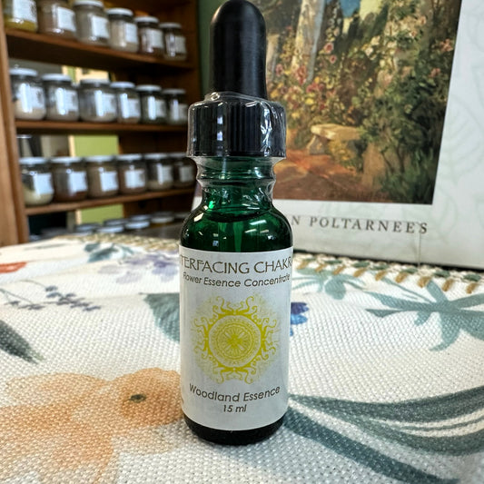 Third Chakra Essence: Interfacing