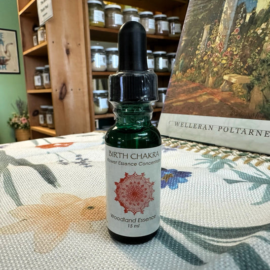 First Chakra Essence: Birth