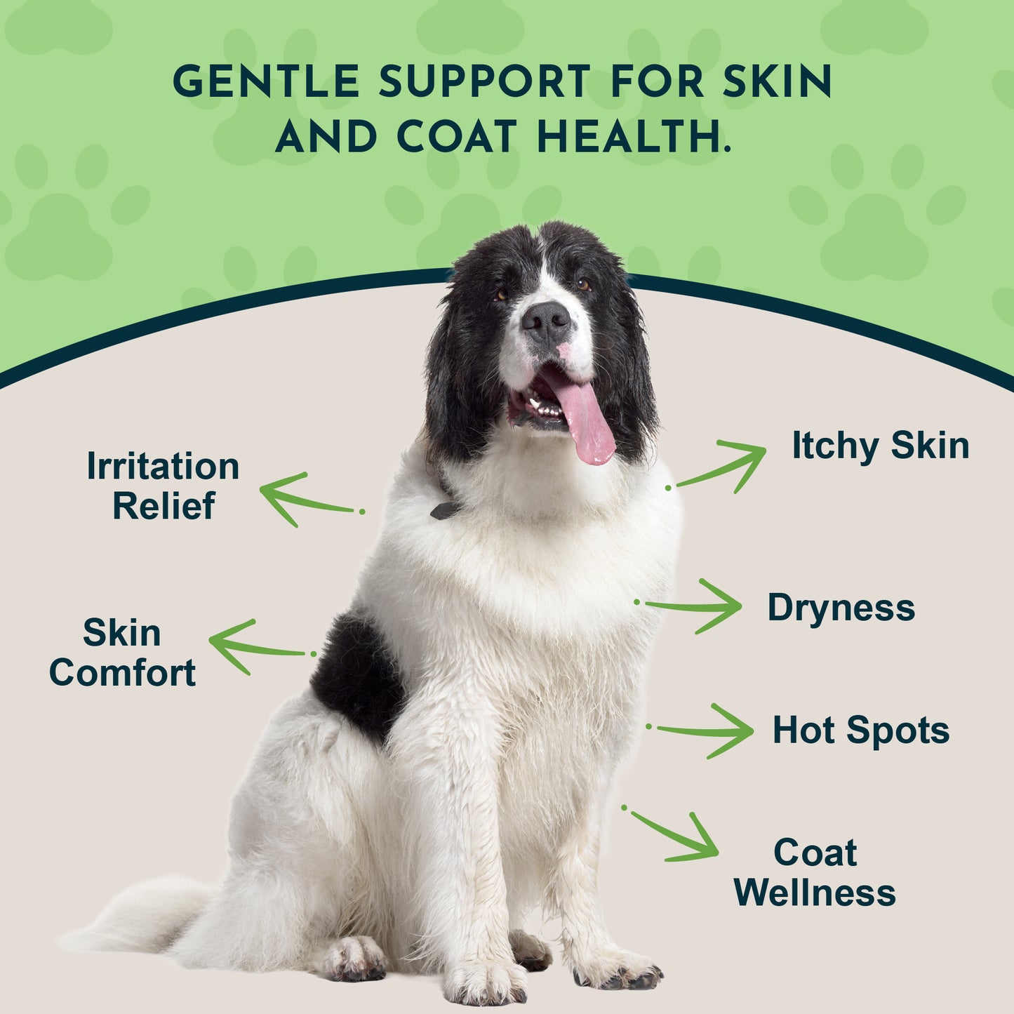 Animal's Essentials, Fido Derm Herbal Spray