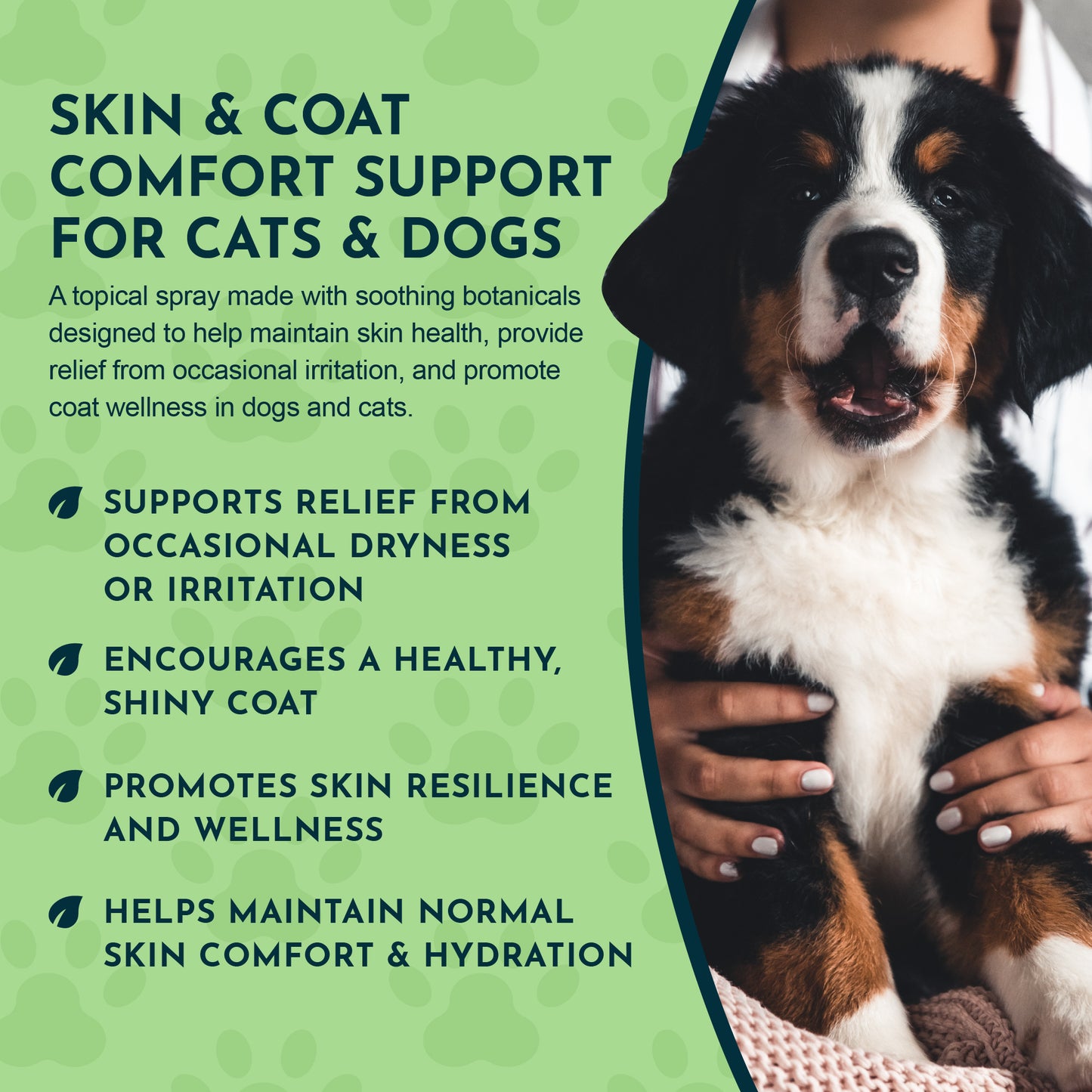 Animal's Essentials, Fido Derm Herbal Spray