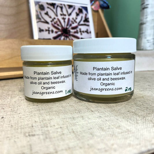 Plantain Salve