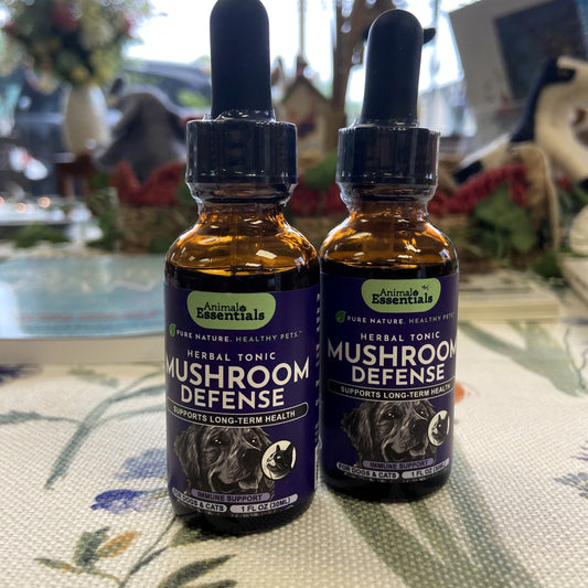 Animal Essentials, Mushroom Defense Extract