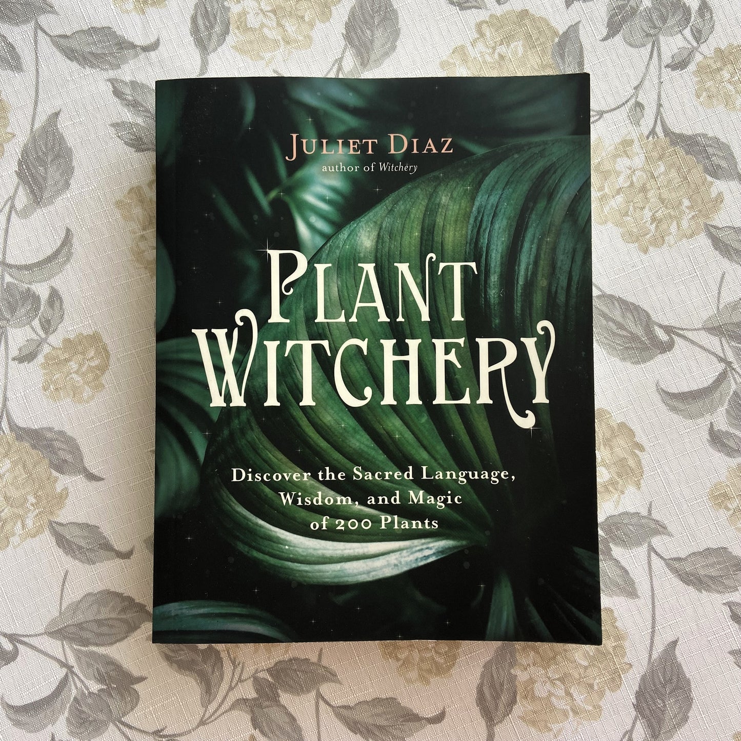 Plant Witchery