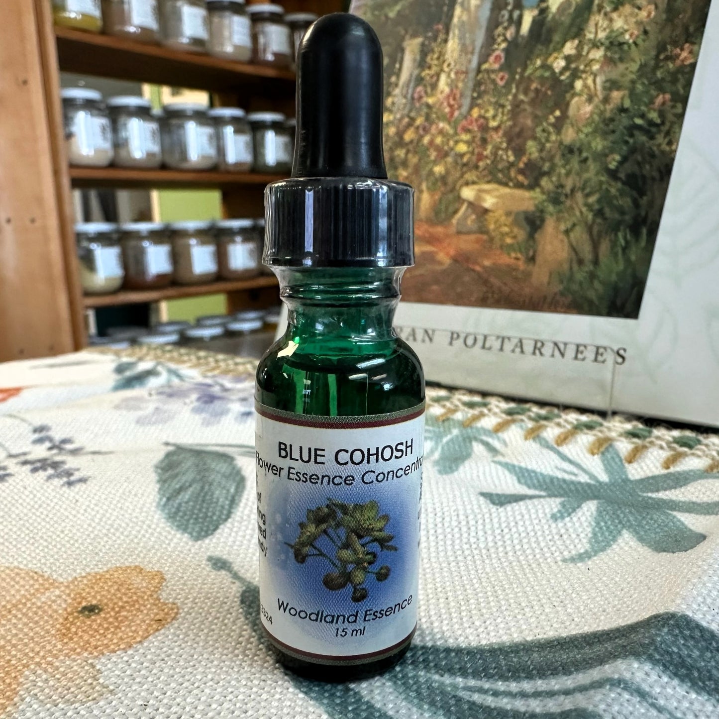 Blue Cohosh Essence