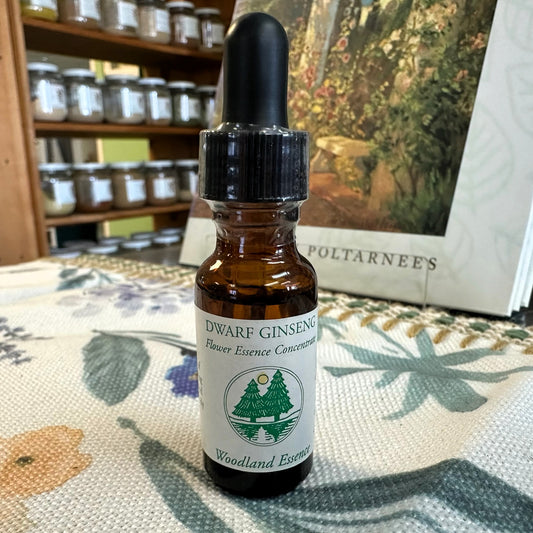 Dwarf Ginseng Essence