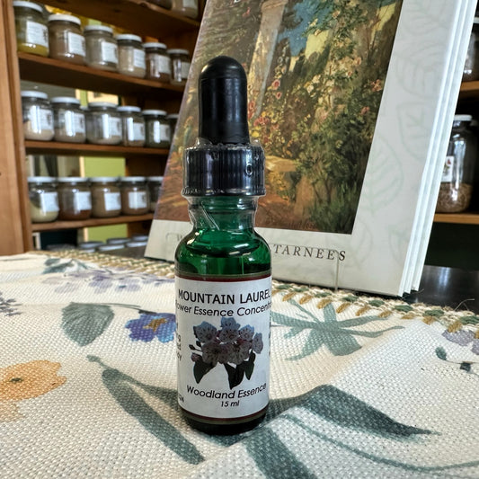 Mountain Laurel Essence