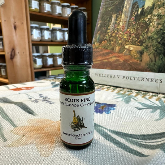 Scots Pine Essence