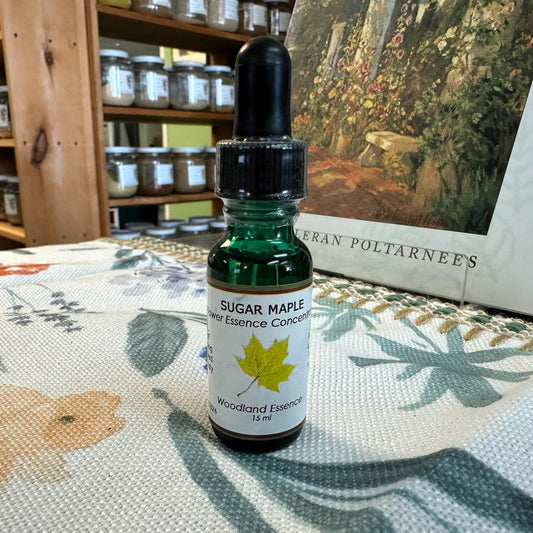 Sugar Maple Essence