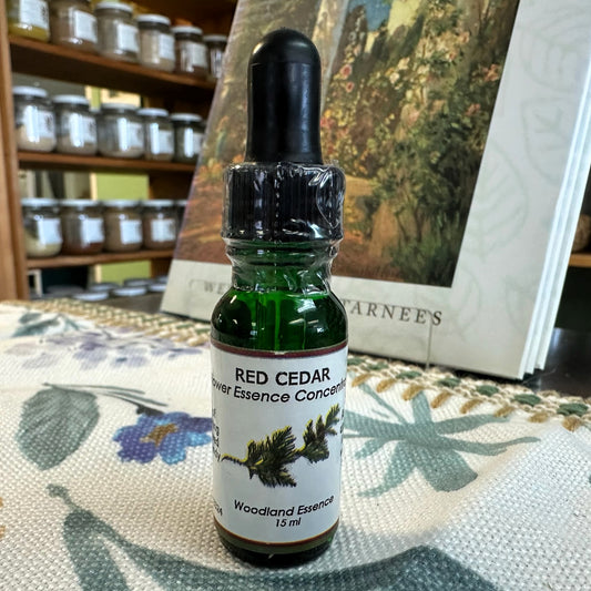 Red Cedar Essence