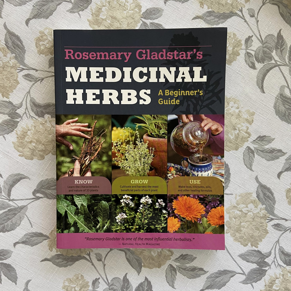 Medicinal Herbs, A Beginner's Guide